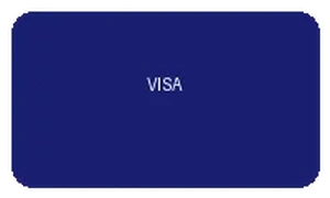 VISA支付